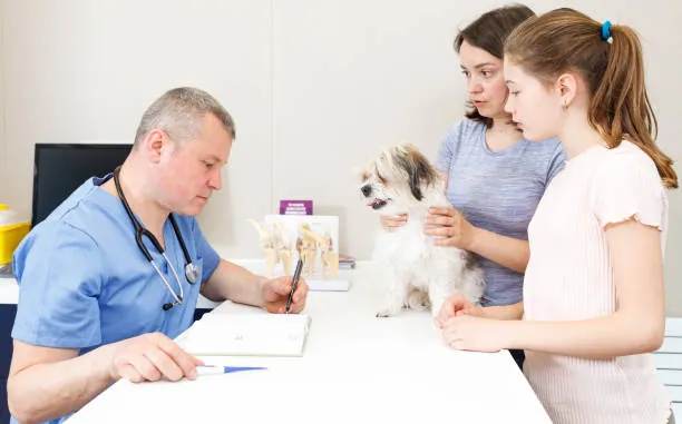Boarding - Health requirements check up