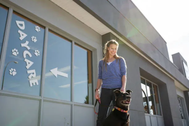 Woman with dog outside sunny dog daycare