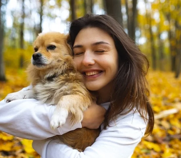 5 Easy Ways to Choose a Dog Boarding Kennel for Your Dog