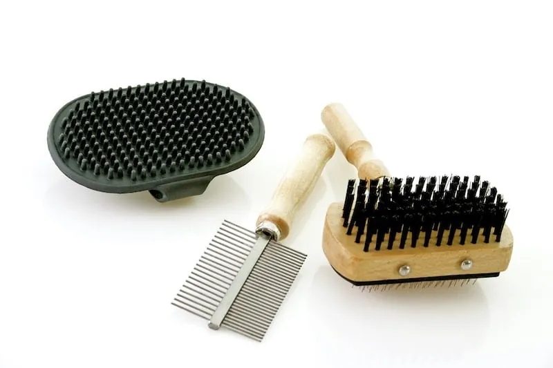 Collection of dog grooming brushes and metal combs for coat care