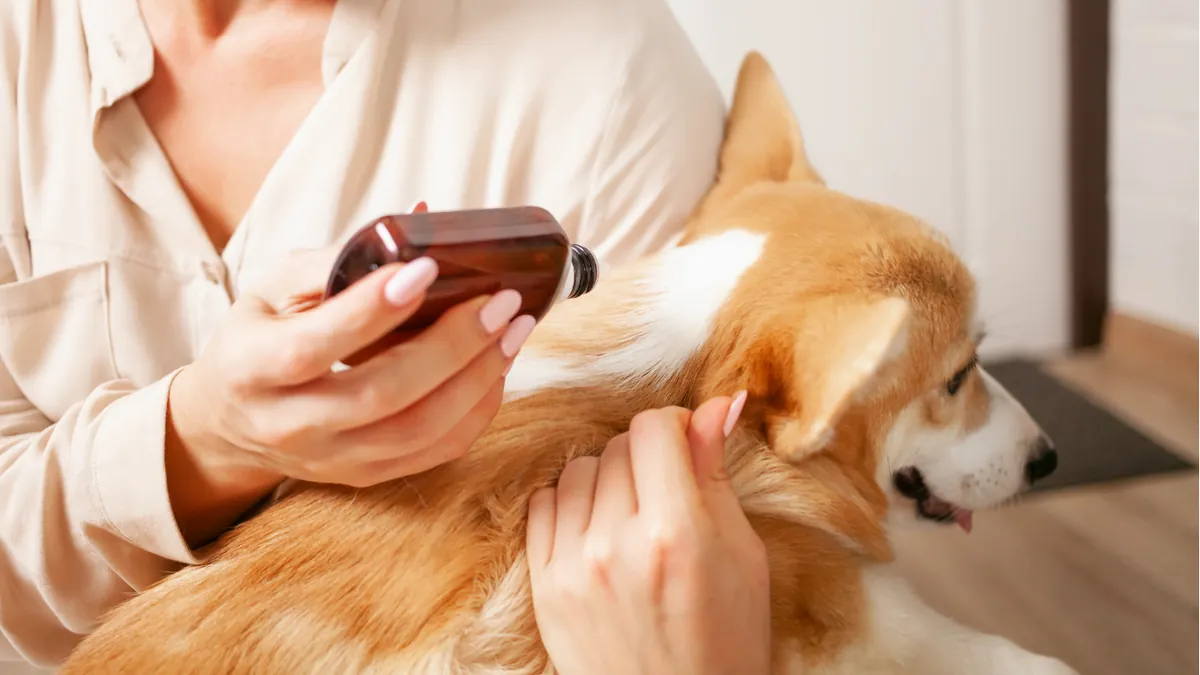 A person spraying a dog's fur
Description automatically generated