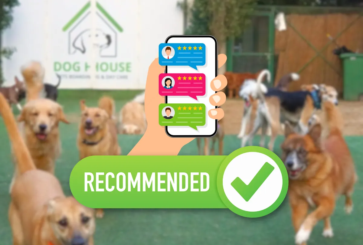 Graphic showing customer reviews and five-star ratings on smartphone