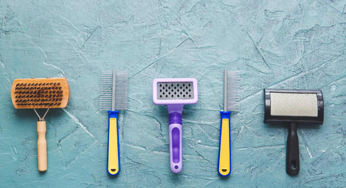 Five dog grooming brushes in different styles arranged on turquoise surface