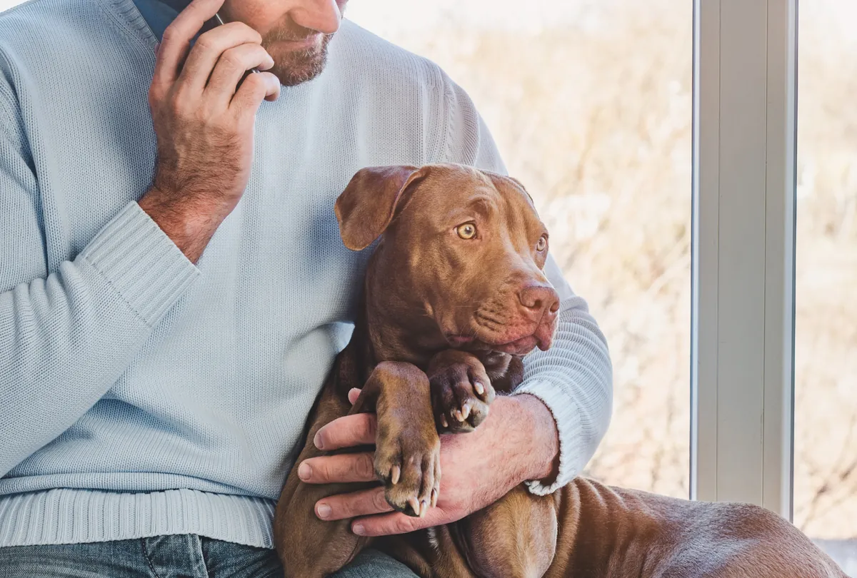 Booking an appointment to see a vet