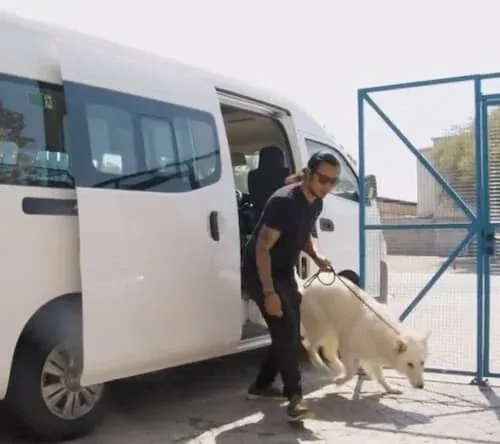 Dog House Dubai - Transporting Dogs with Love and Care.