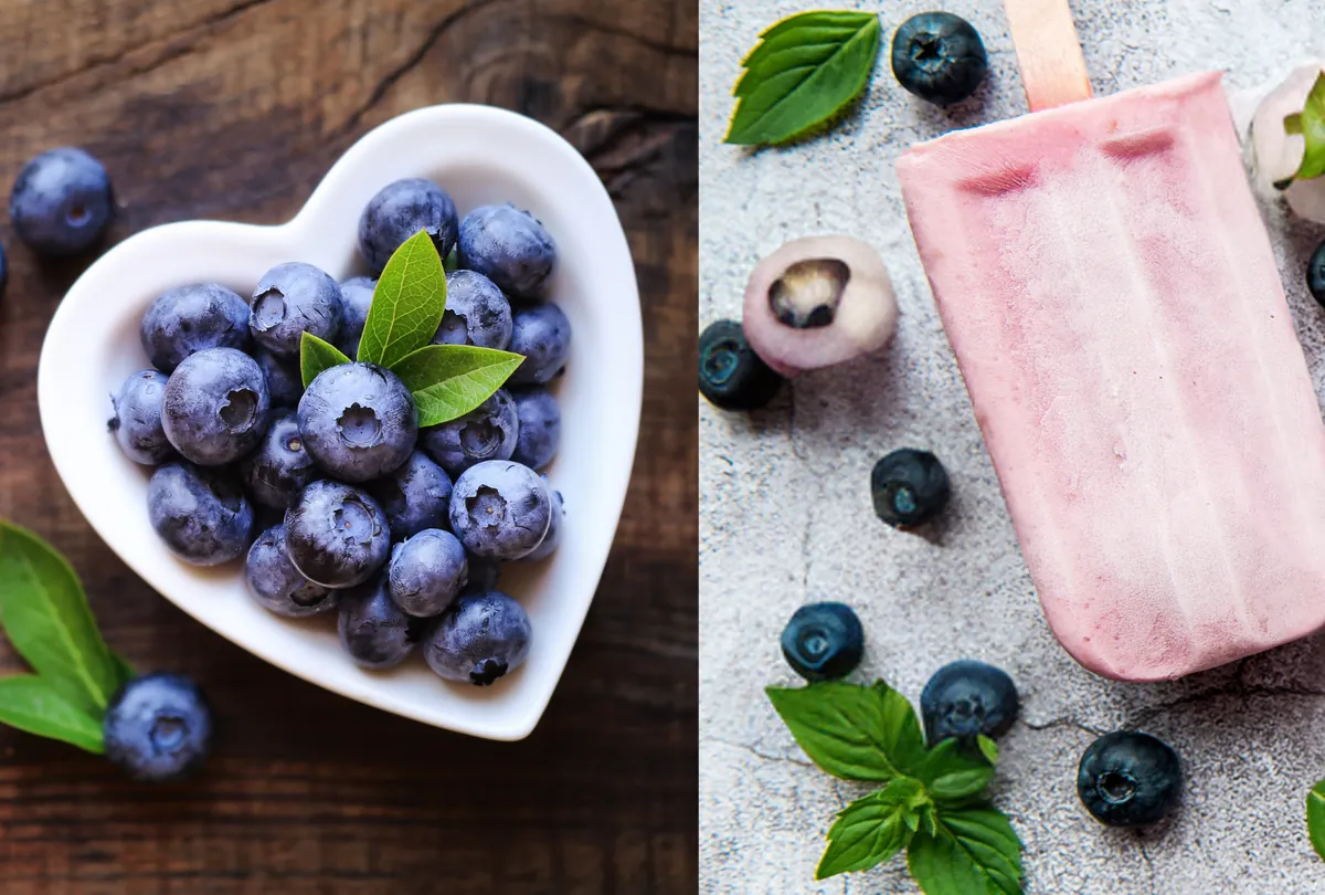 Fresh blueberries and homemade fruit-based dog treat split composition
