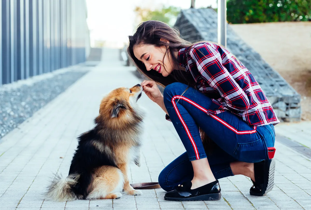 Woman bending down to feed small dog treats in outdoor space.