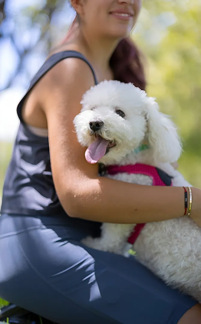 White fluffy dog held by woman outdoors, wearing red collar