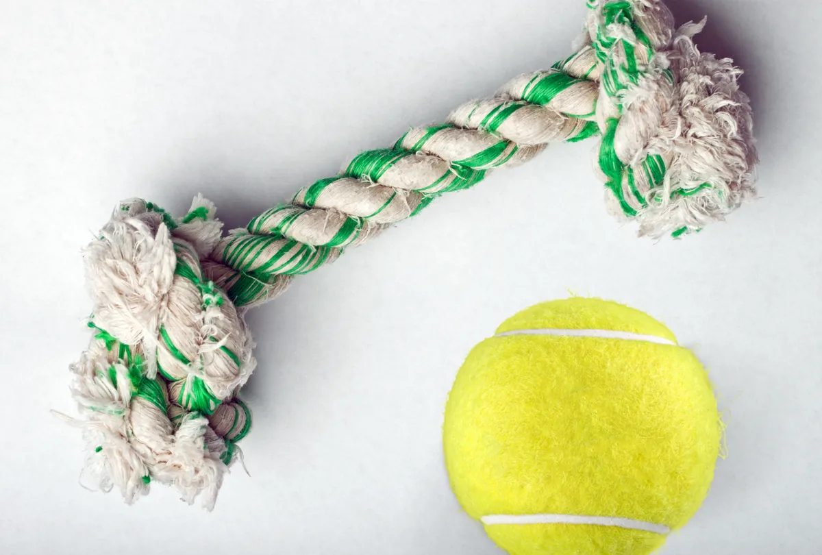 Green and white braided rope toy with yellow tennis ball