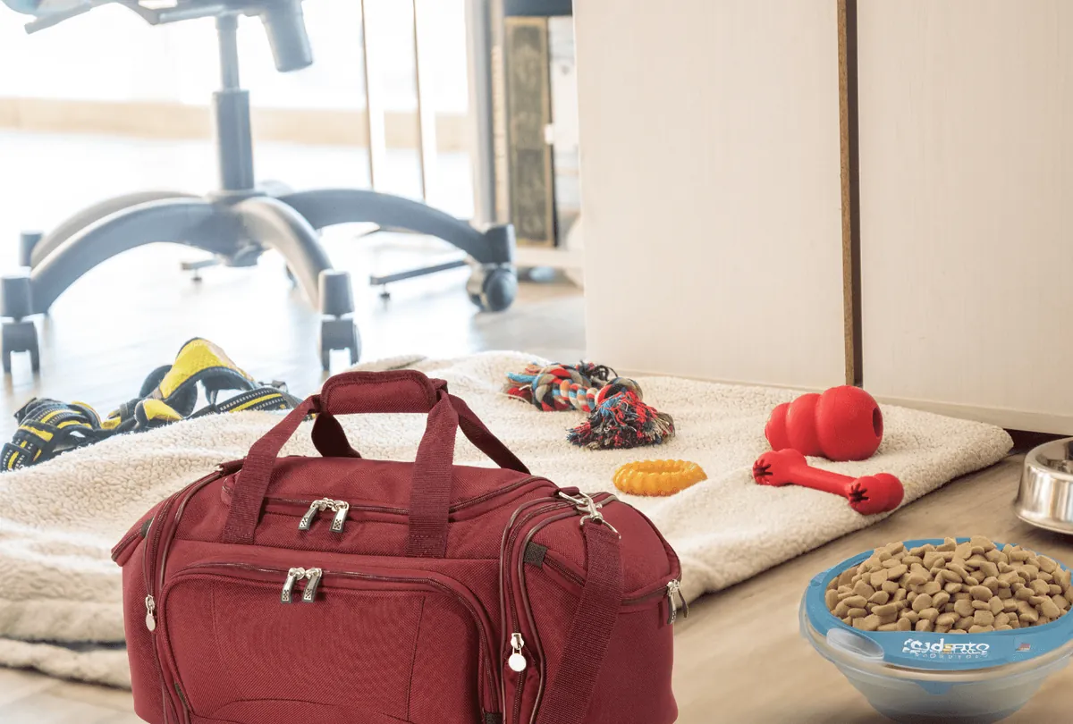 Dog boarding essentials: duffel bag, toys, food bowl and leash