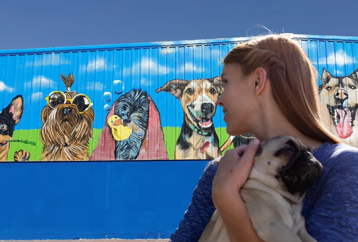 Top 7 Myths About Dog DayCare—Debunked!