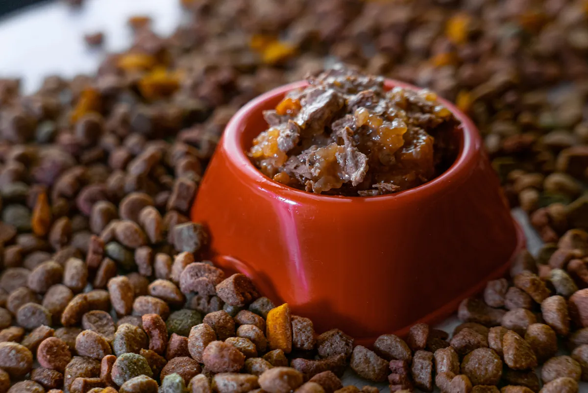 Red bowl of wet dog food surrounded by kibble pieces