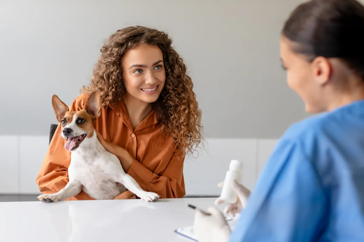 Woman with curly hair holding brown and white Beagle at vet