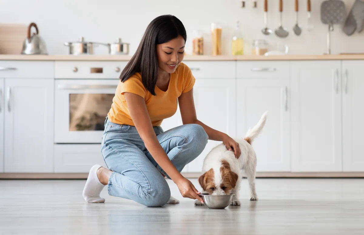 Woman petting dog from metal bowl while hand-feeding in kitchen