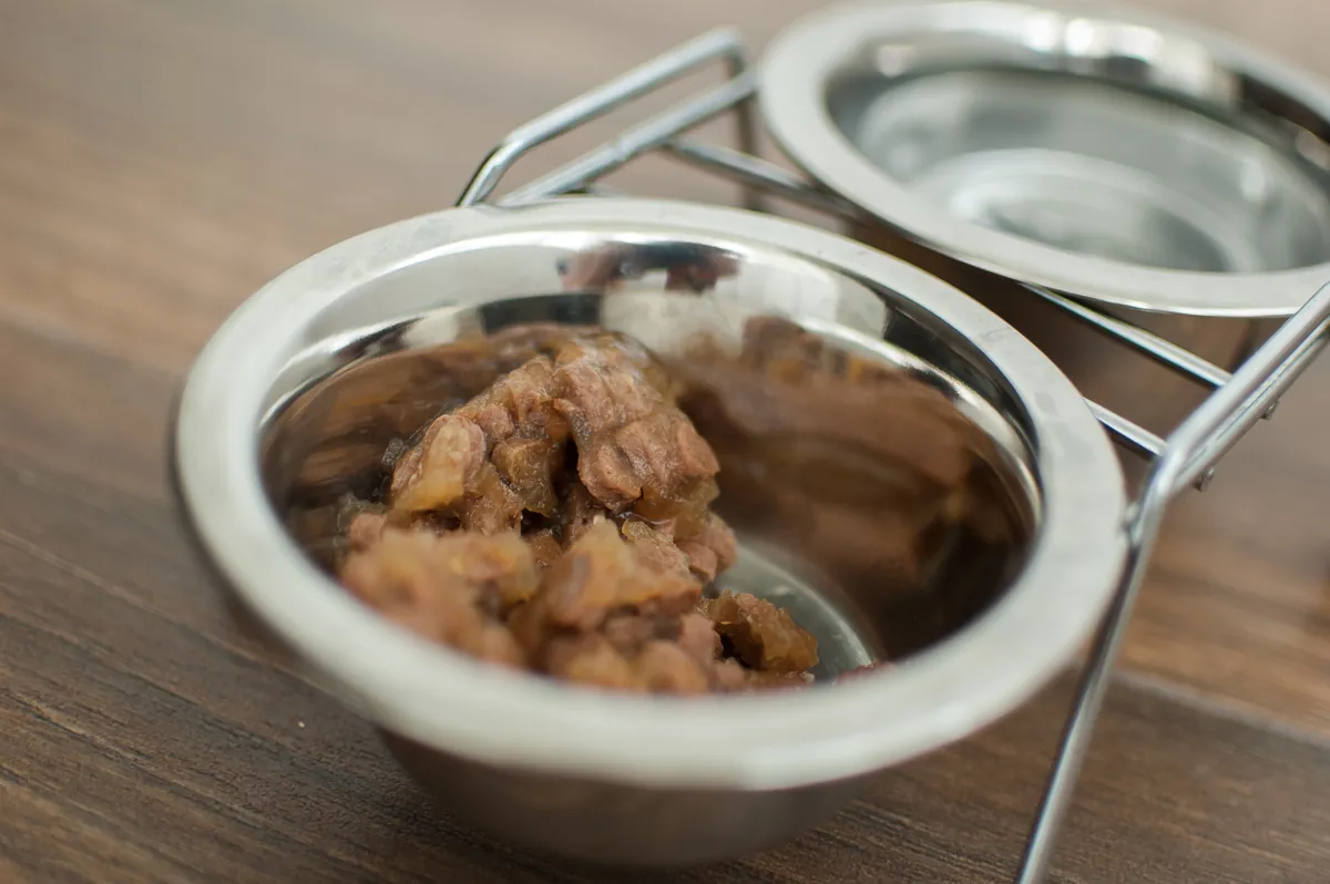 White metal bowl with wet dog food and gravy closeup
