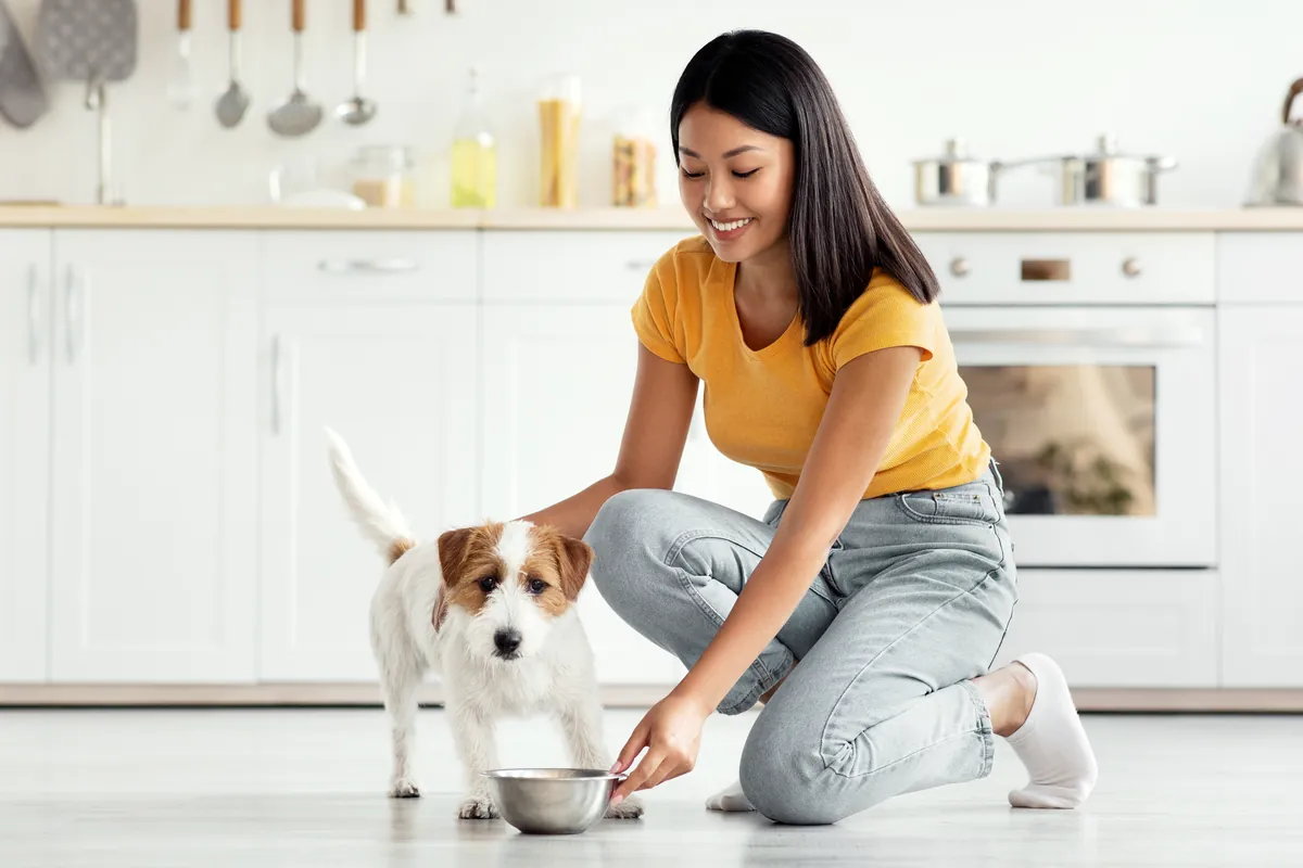 Woman in yellow kneeling to feed dog from metal bowl