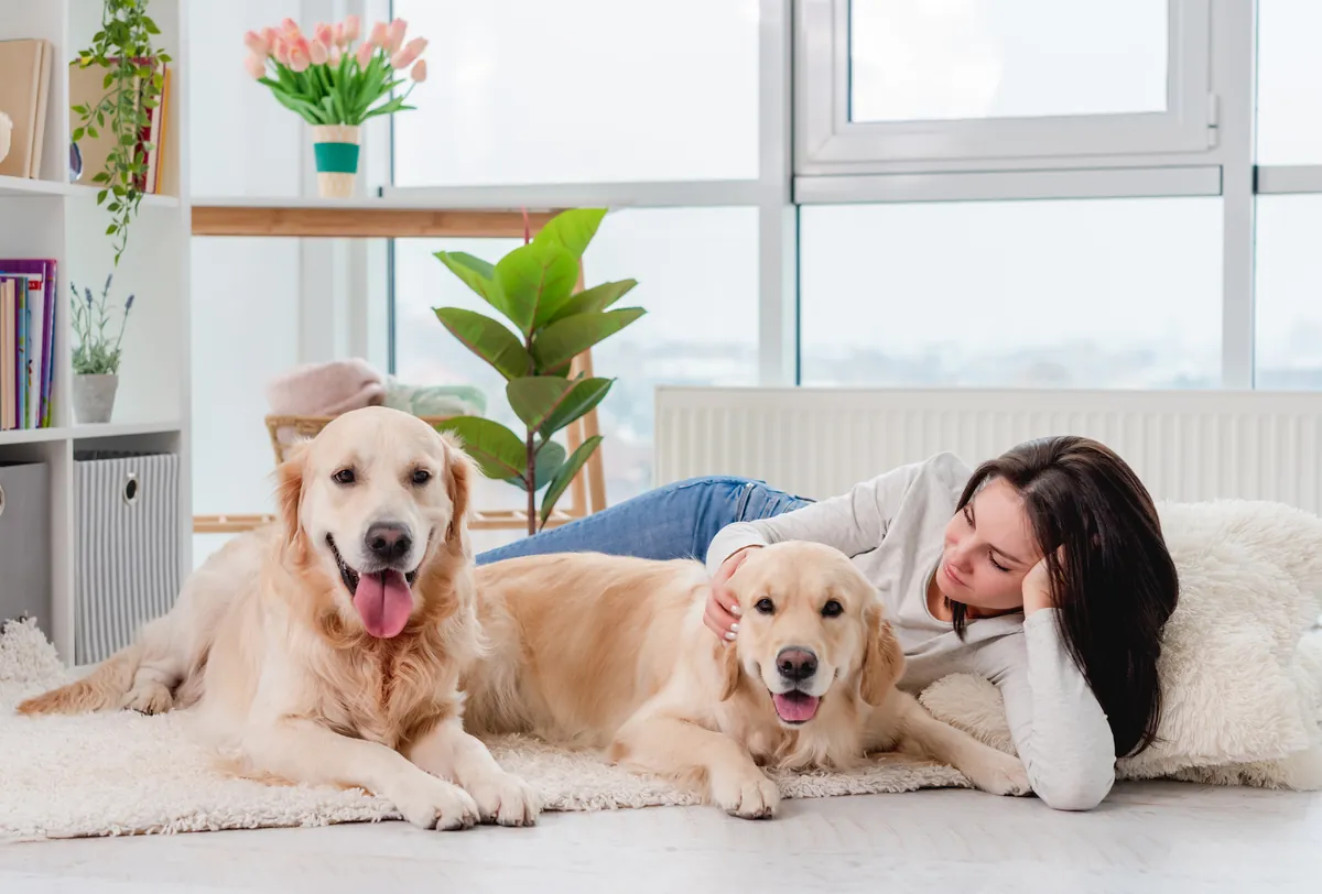 Woman lying down with two golden Retrievers on rug