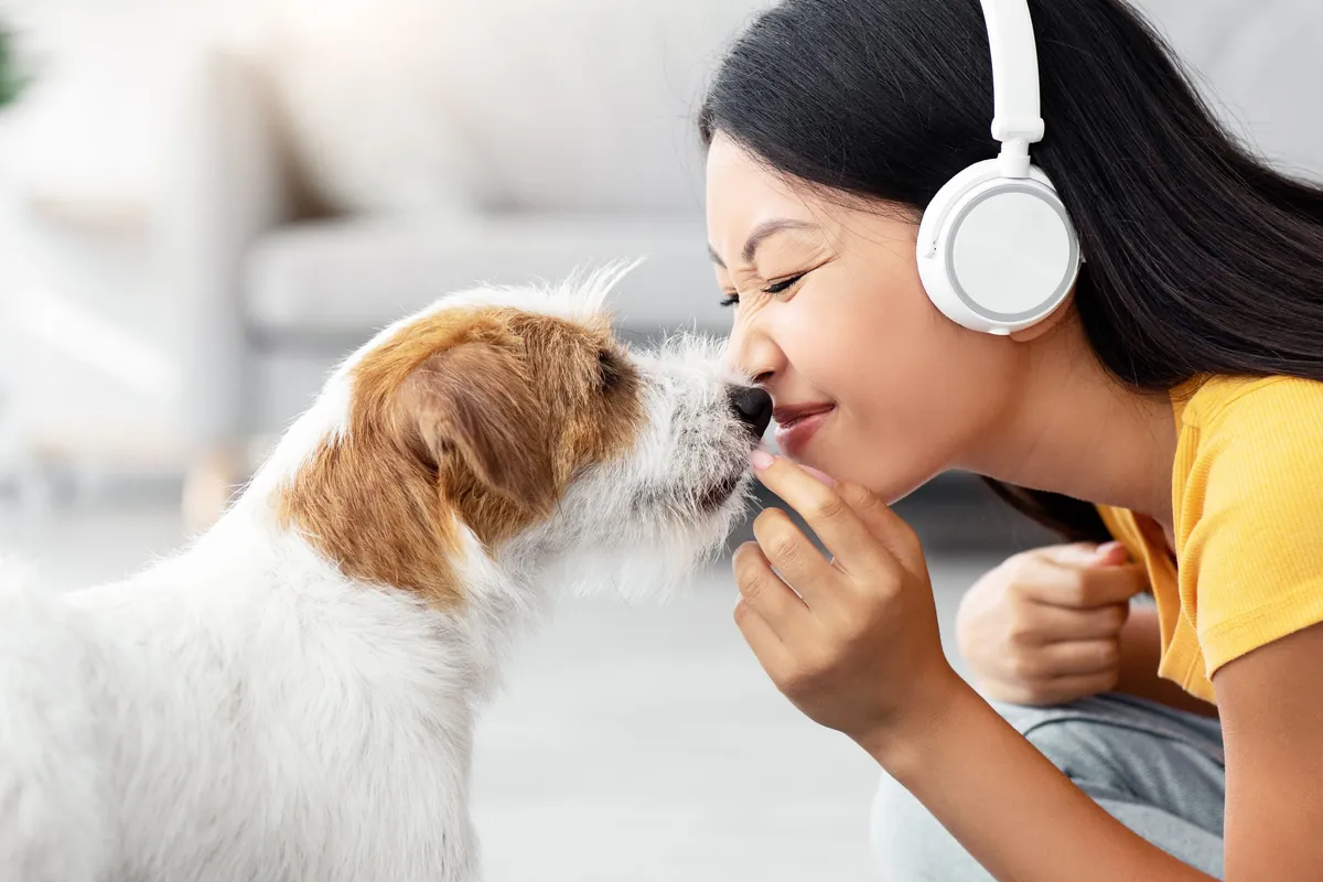 Smelly Dog Syndrome? How Regular Grooming Keeps Odors at Bay