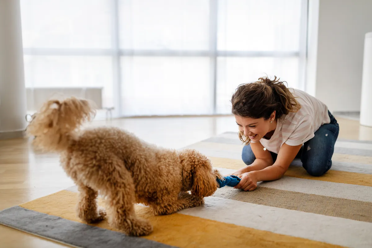 Woman and tan dog playing indoors on wooden floor
