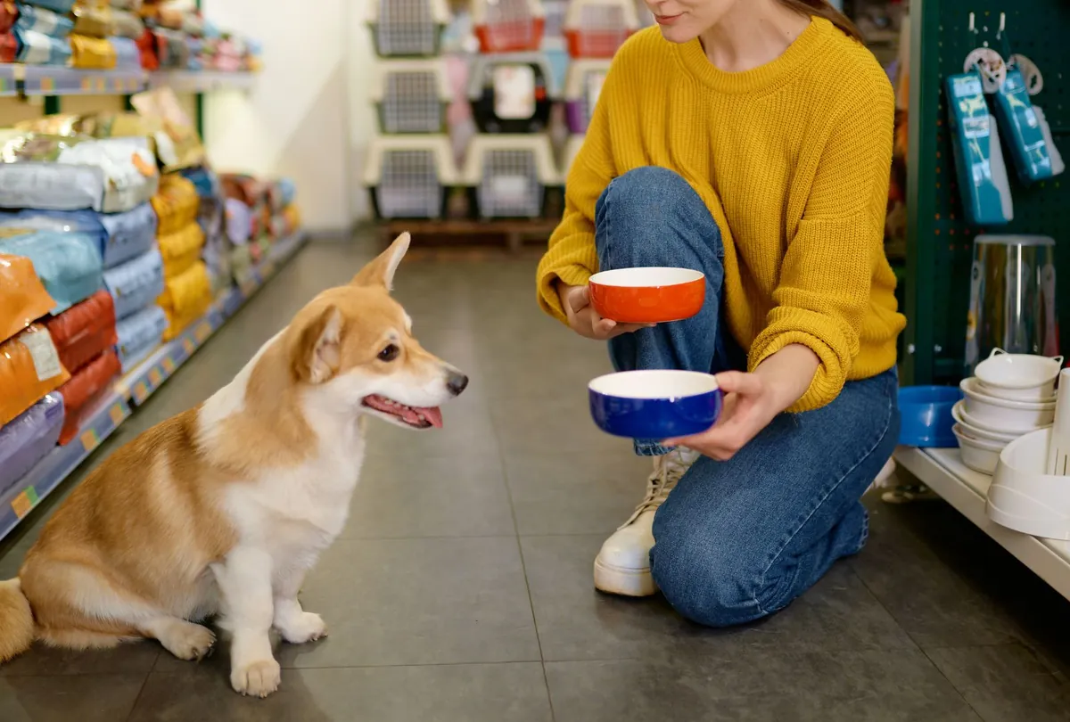 White ceramic dog bowl filled with dry kibble on floor