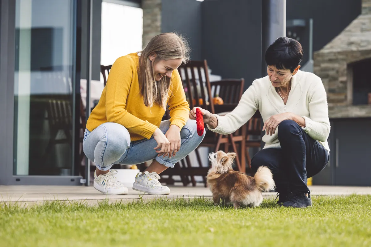 Two women greeting small brown and white dog on outdoor patio