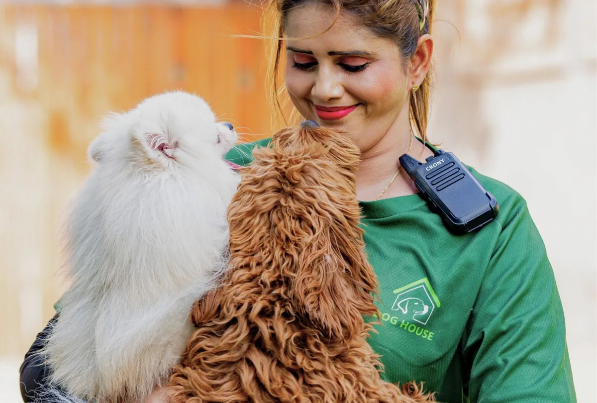 Staff member holding two fluffy dogs at indoor dog care facility