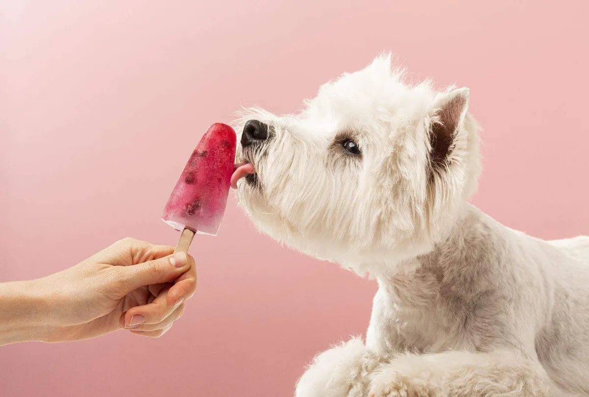 Can Dogs Eat Ice Cream? Risks, Ingredients, and Dog-Safe Alternatives