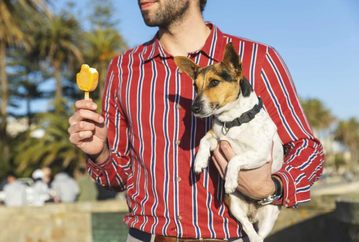 Can Dogs Eat Ice Cream? Risks, Ingredients, and Dog-Safe Alternatives