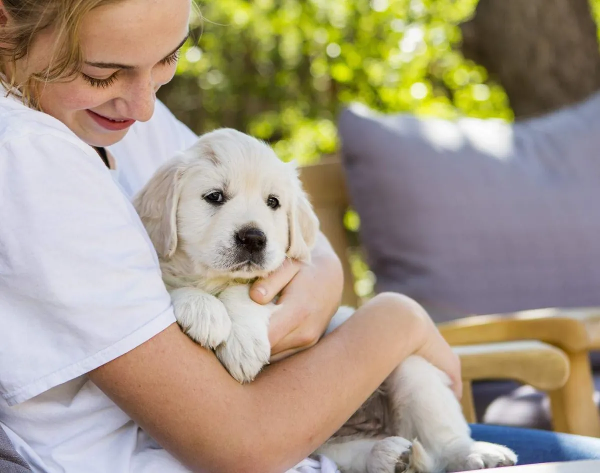 Preparing for a New Puppy at Home: A Step-by-Step Starter Guide