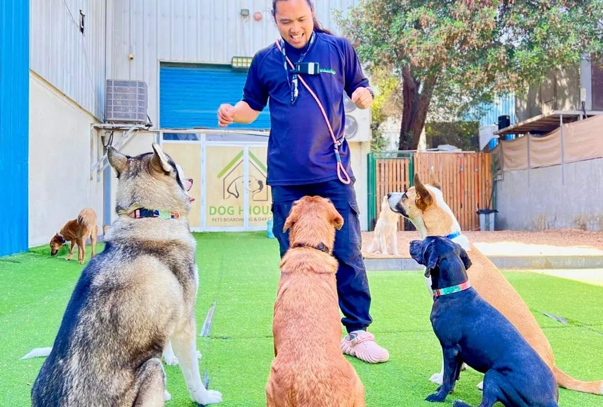 Dog House Dubai Day Care