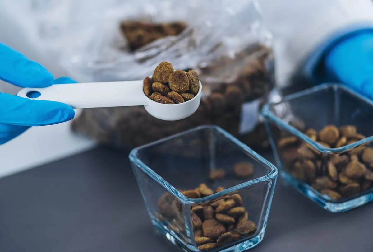 Dog food quality control with kibble in measuring spoon and sample containers