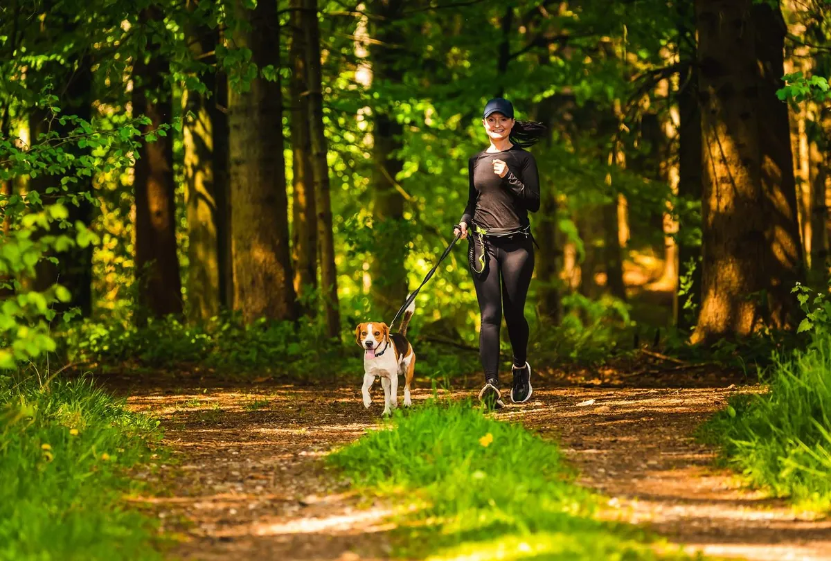 Best Time to Walk Your Dog: Morning vs Evening for Health & Safety