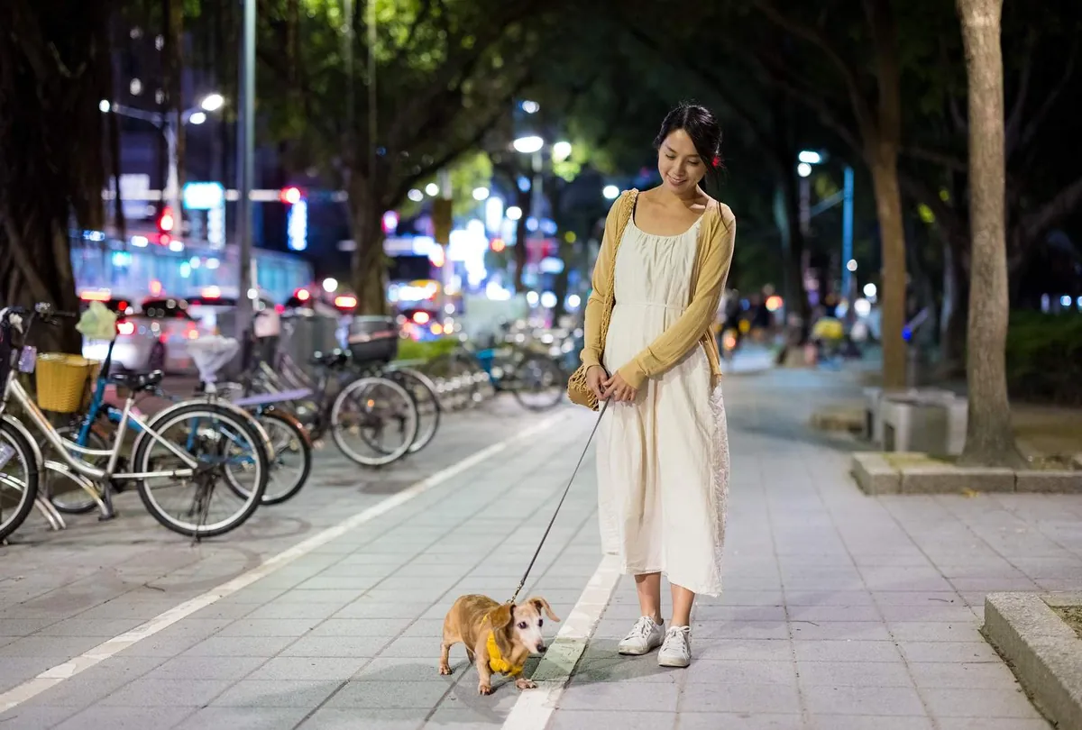 Best Time to Walk Your Dog: Morning vs Evening for Health & Safety