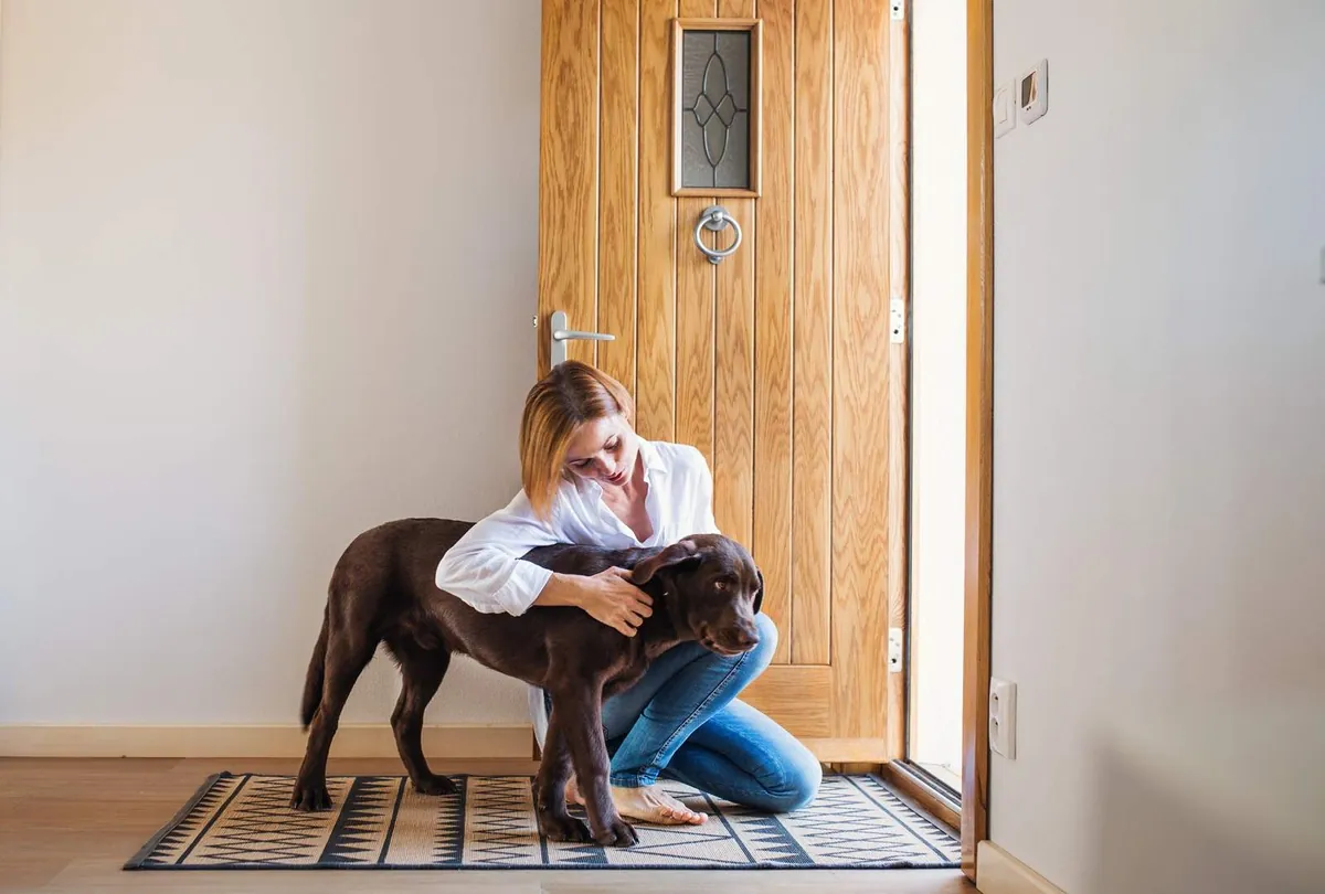 Separation Anxiety in Dogs: Signs, Causes, and How to Help