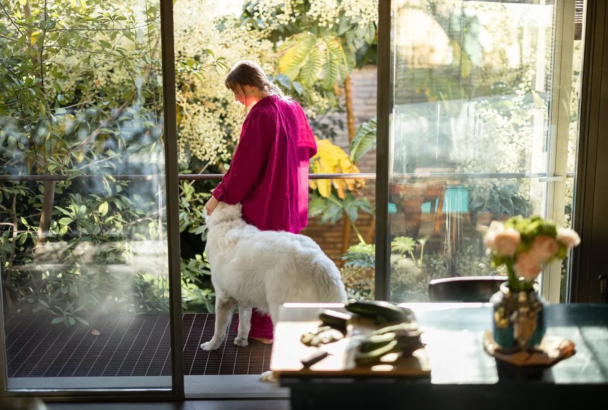 Separation Anxiety in Dogs: Signs, Causes, and How to Help