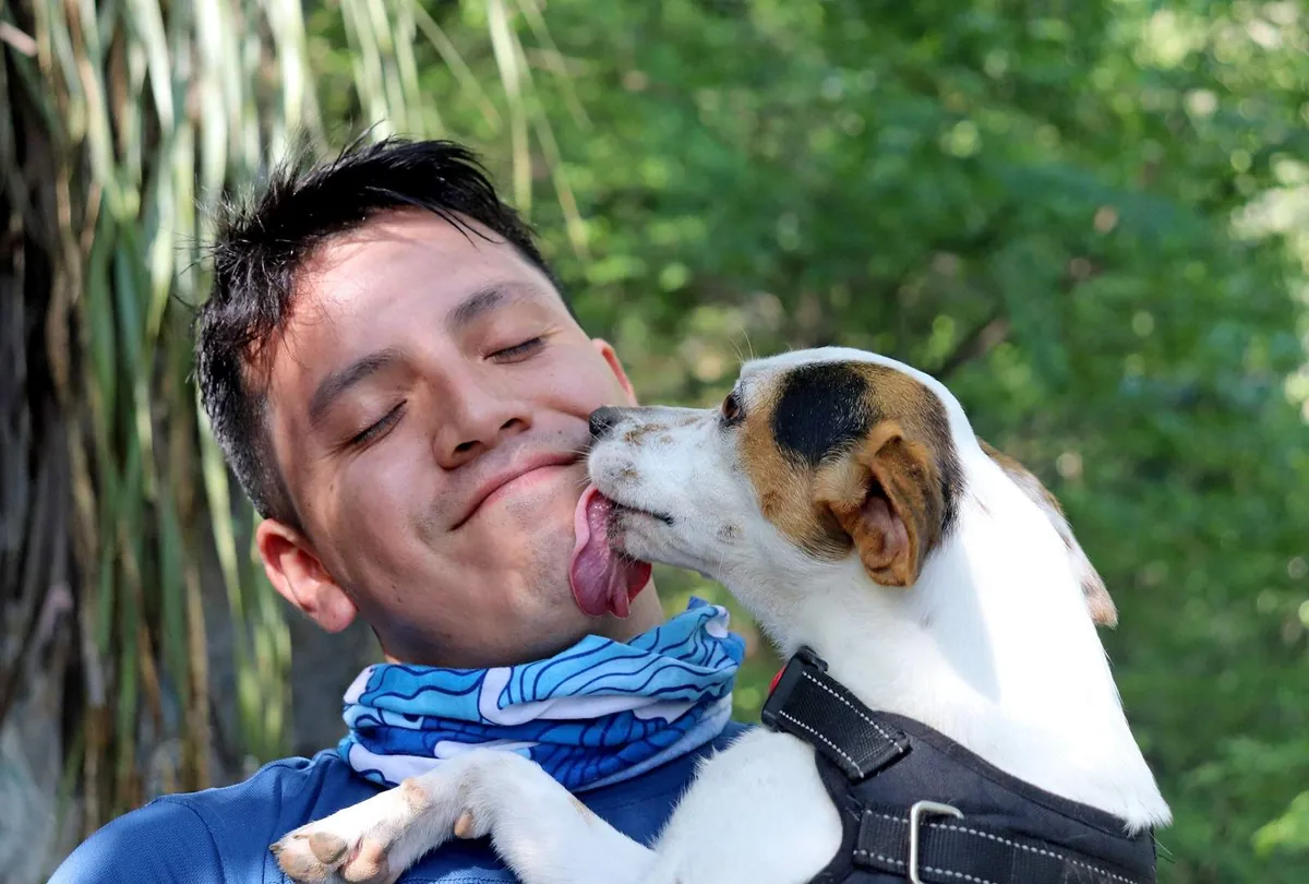 Why Does My Dog Lick Me So Much? Causes and What It Means