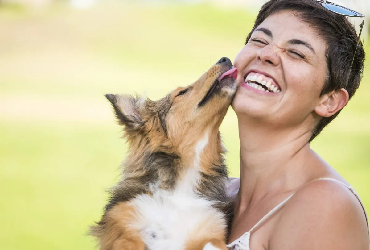 Woman laughing while a brown and tan dog licks her face outdoors happily