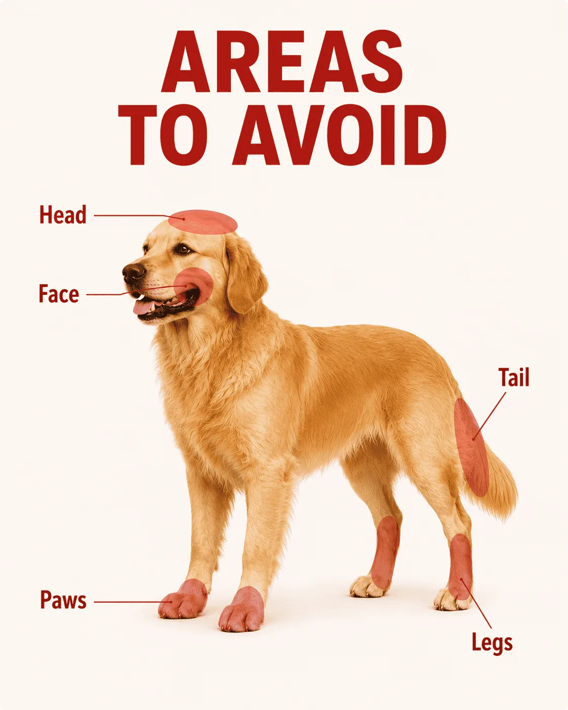 Infographic showing dog petting areas to avoid including head, face, and tail